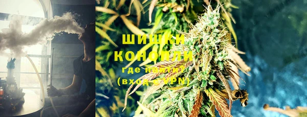 дживик Володарск