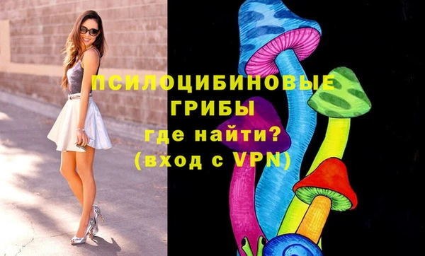 дмт Алзамай