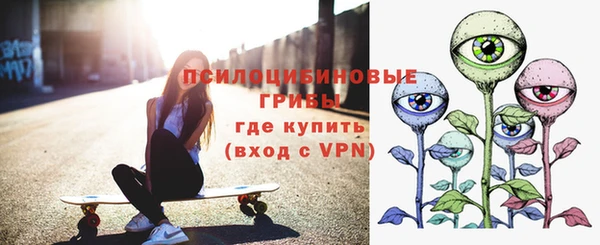 дмт Алзамай