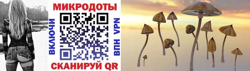 хочу   Полевской  ссылка на мегу зеркало  Псилоцибиновые грибы MAGIC MUSHROOMS 